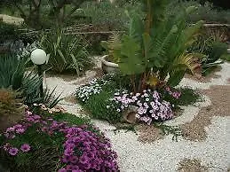 Villa La Perla Λαμπεντούζα