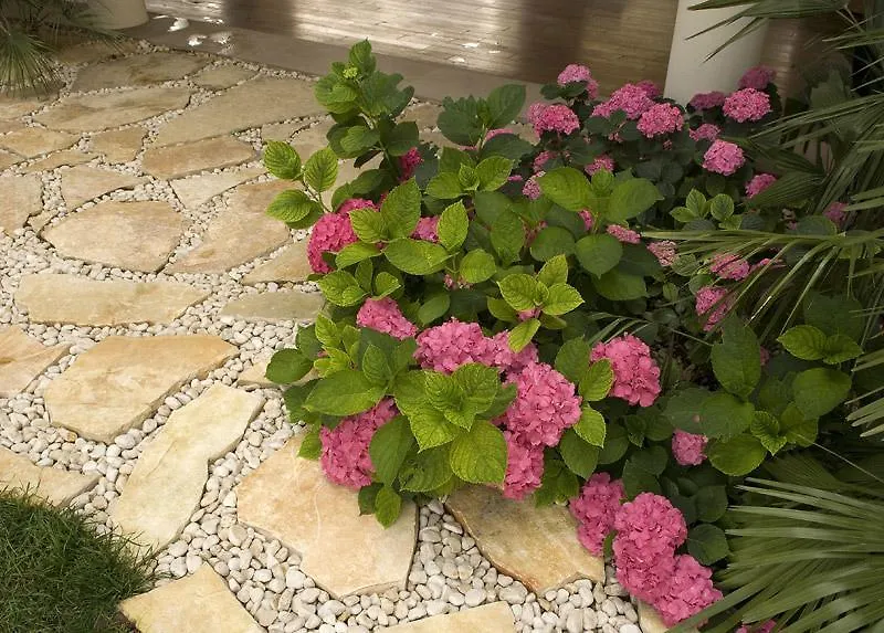 Villa La Perla Λαμπεντούζα 0*,  Ιταλία